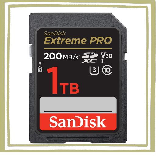 SANDISK (サンディスク) 1TB EXTREME PRO SDXC UHS-I メモリーカード - C10、U3、V30、4K UHD、SDカード- SDSDXXD-1T00-GN4IN