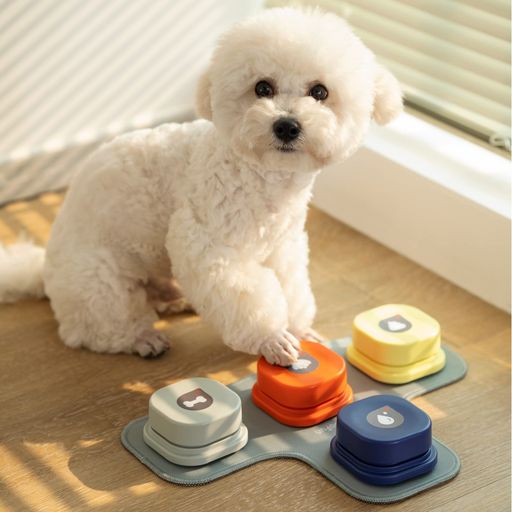 MEWOOFUN 犬用 録音ボタン 会話ボタン 音声ボタン ベル コミュニケーション トレーニング しつけ訓練 ペット 知育 おもちゃ ４色セット
