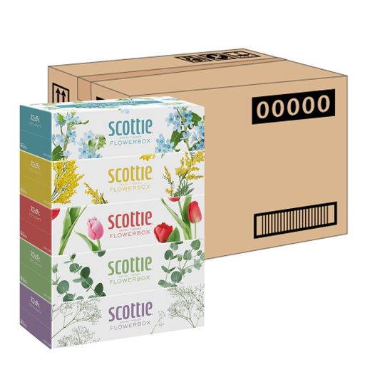 【ケース販売】 スコッティ フラワーボックス 長持ちティシュー 500枚(250組) 5箱 ×12入り