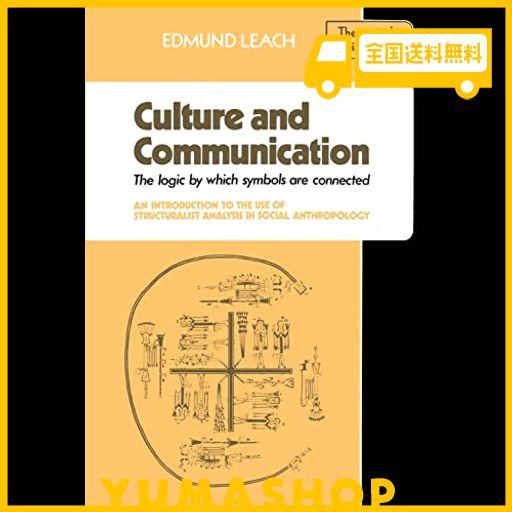 CULTURE AND COMMUNICATION (THEMES IN THE SOCIAL SCIENCES)
