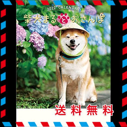柴犬まるとおさんぽ 2022年 カレンダー 壁掛け cl22-392 白