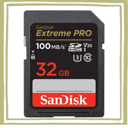 SANDISK (サンディスク) 32GB EXTREME PRO SDHC UHS-I メモリーカード - C10、U3、V30、4K UHD、SDカード- SDSDXXO-032G-GN4IN