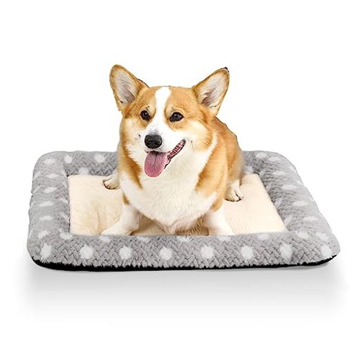 PETO-RAIFU ペットクッション ペットベッド ペットソファー マット 小型 中型犬 猫 小動物 寝床 ゲージ敷物 猫柄 洗える もこもこ 暖か